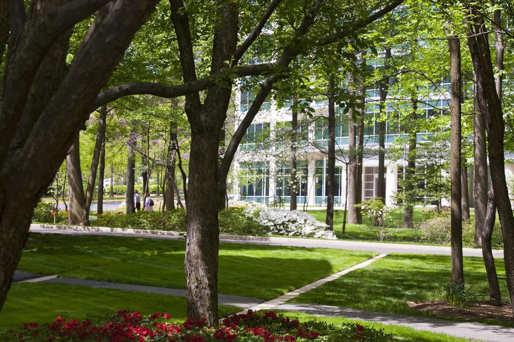 Falls Church Marriott Fairview Park Eksteriør bilde